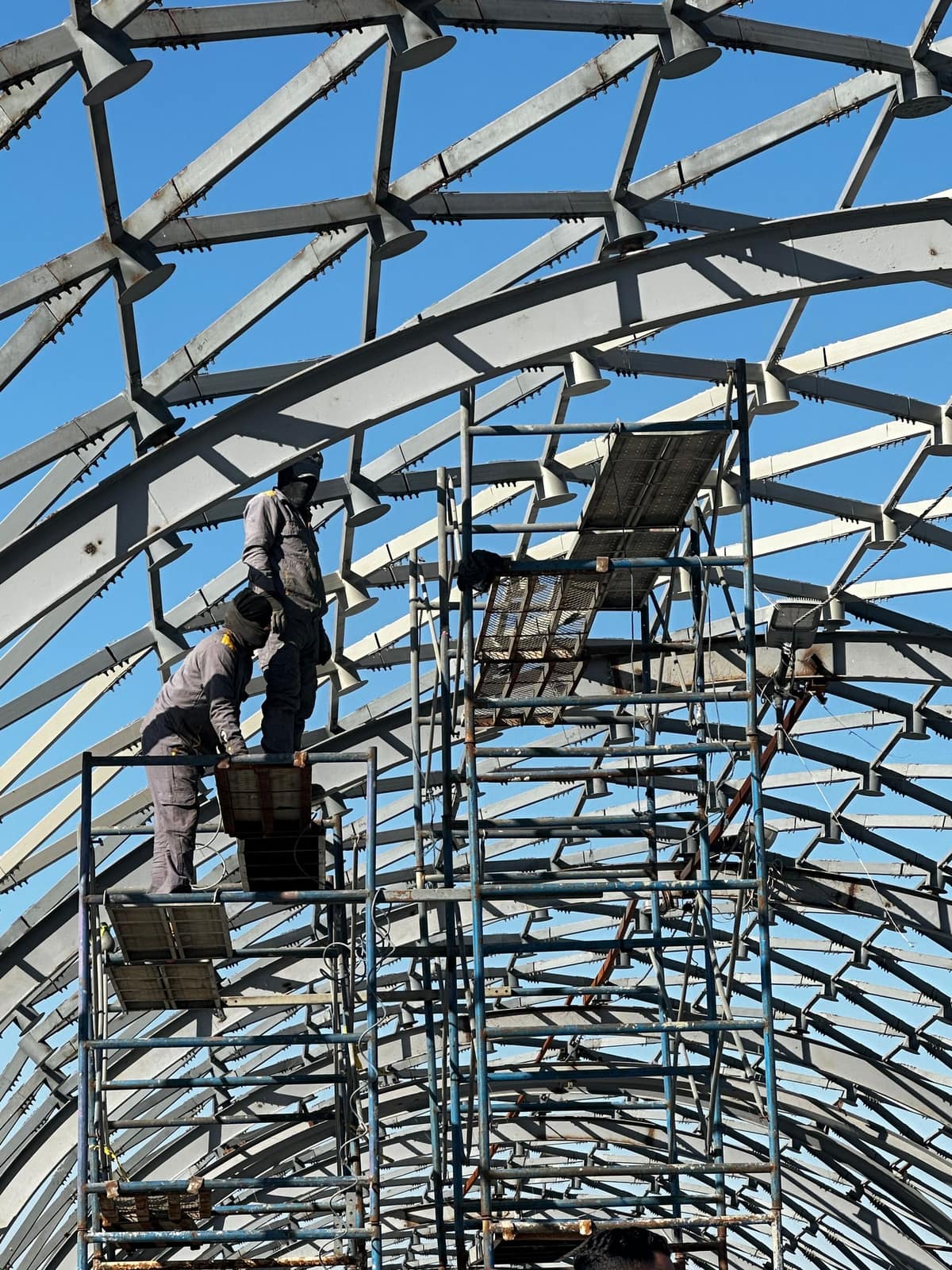 Scaffolding rising inside a steel roof structure